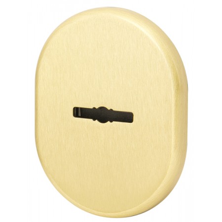 Декоративная накладка на сувальдный замок со шторкой PS-DEC CT (ATC Protector 1) SG-1 Матовое золото