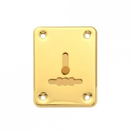 Накладка декоративная Apecs DP-01-S-G-shutter (DP-S-01-G-shutter)