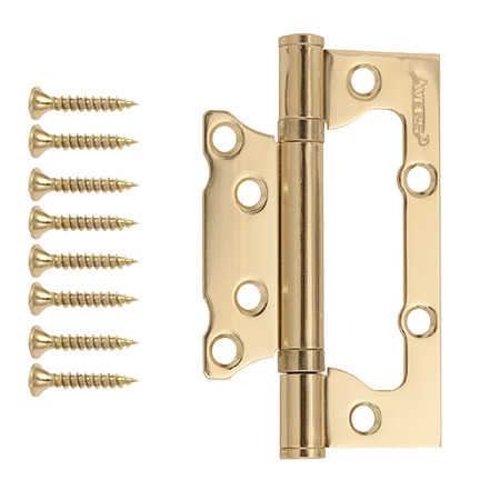 Петля накладная Avers 100*63*2-B2-G