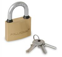 Замок навесной PALLADIUM 301 B-50