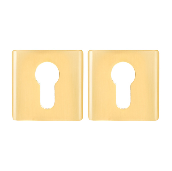 Накладки цилиндровые Apecs Ultra DP-C-60-GMS