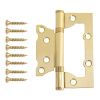 Петля накладная Vanger 100*75*2-P2-G